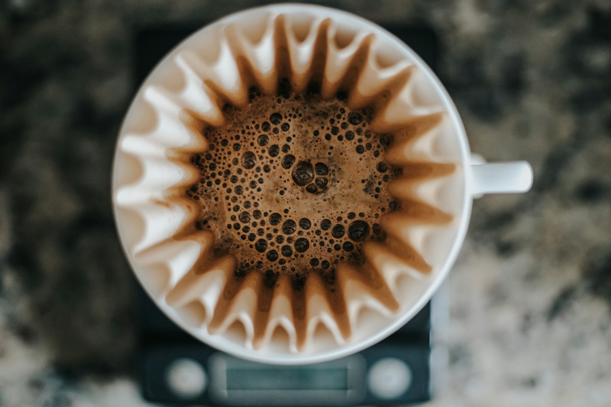 Close-up of coffee scale measuring grounds with precision